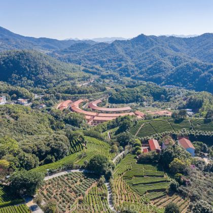 梅州客天下景区+雁南飞茶田景区+灵光寺2日1晚私家团