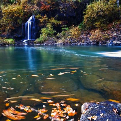 哈尔滨+长白山+延吉7日6晚私家团 哈尔滨+长白山+延吉7日6晚私家团