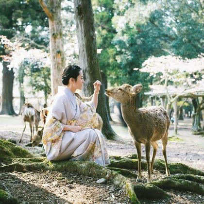 日本大阪+京都+东京+富士山+奈良7日6晚跟团游 日本大阪+京都+东京+富士山+奈良7日6晚跟团游