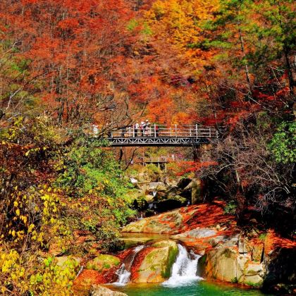 成都+三星堆博物馆+光雾山+米仓山国家森林公园+剑门关风景区6日5晚私家团 成都+三星堆博物馆+光雾山+米仓山国家森林公园+剑门关风景区6日5晚私家团