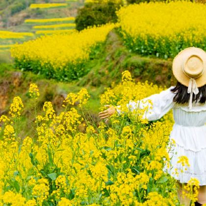 江西南昌+庐山+景德镇+婺源+井冈山7日6晚跟团游 江西南昌+庐山+景德镇+婺源+井冈山7日6晚跟团游
