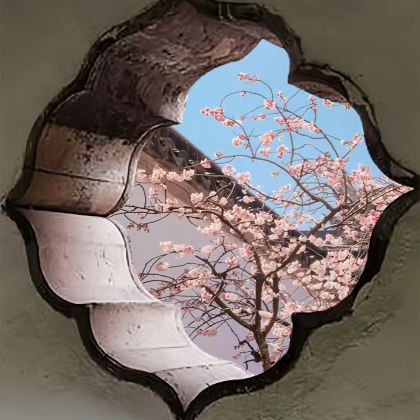 上海+乌镇+杭州+苏州+无锡+南京6日5晚私家团 上海+乌镇+杭州+苏州+无锡+南京6日5晚私家团