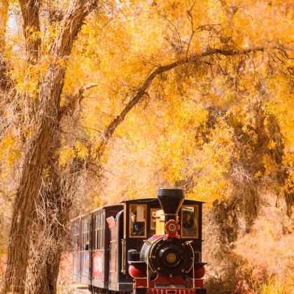 新疆乌鲁木齐+白沙湖景区+塔里木胡杨林公园+喀什古城10日9晚跟团游 新疆乌鲁木齐+白沙湖景区+塔里木胡杨林公园+喀什古城10日9晚跟团游