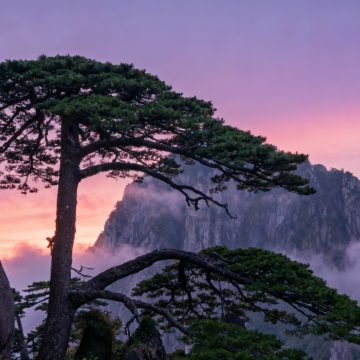 黄山风景区2日1晚跟团游 黄山风景区2日1晚跟团游