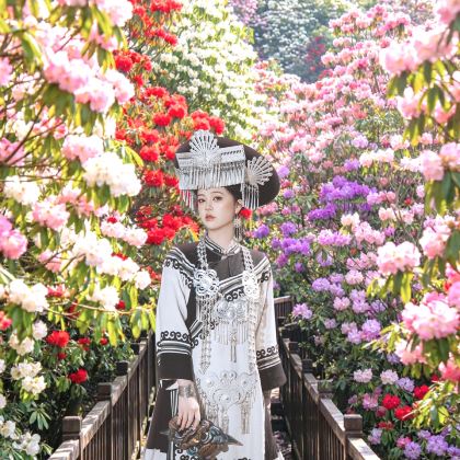 贵州贵阳+织金洞+黄果树景区+荔波+西江千户苗寨5日4晚私家团 贵州贵阳+织金洞+黄果树景区+荔波+西江千户苗寨5日4晚私家团