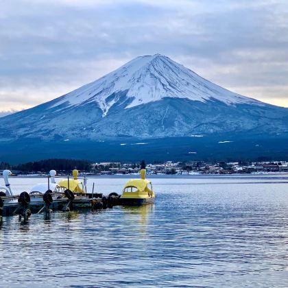 京都+奈良县+大阪+神户+东京8日7晚跟团游