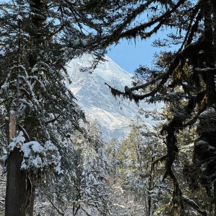 贡嘎雪山+海螺沟+牛背山+成都4日3晚私家团 贡嘎雪山+海螺沟+牛背山+成都4日3晚私家团