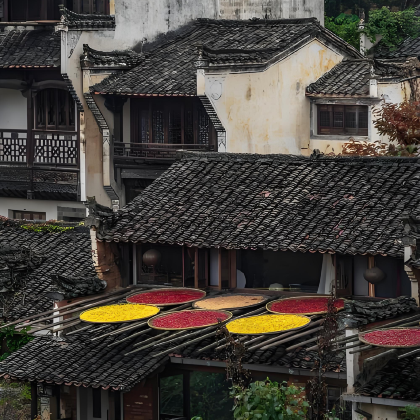 江西望仙谷+三清山风景区+婺女洲度假区+婺源篁岭景区3日2晚拼小团 江西望仙谷+三清山风景区+婺女洲度假区+婺源篁岭景区3日2晚拼小团