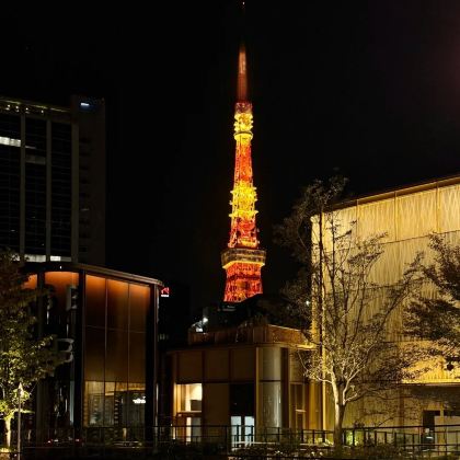 日本东京6日5晚私家团 日本东京6日5晚私家团