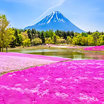 日本大阪+京都+东京+富士山7日6晚自由行 日本大阪+京都+东京+富士山7日6晚自由行