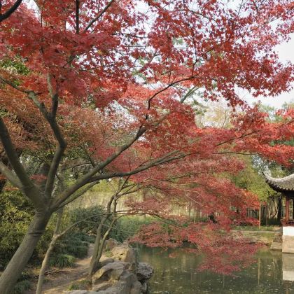 苏州2日1晚跟团游 苏州2日1晚跟团游