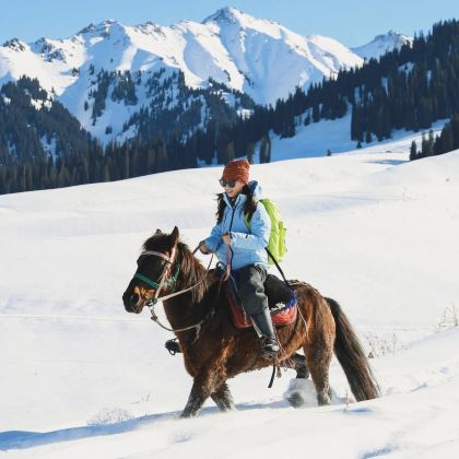 乌兰布统+木兰围场+塞罕坝+坝上+锡林郭勒盟3日2晚私家团 乌兰布统+木兰围场+塞罕坝+坝上+锡林郭勒盟3日2晚私家团
