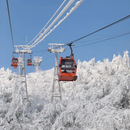 成都+三星堆博物馆+都江堰景区+西岭雪山景区6日5晚私家团 成都+三星堆博物馆+都江堰景区+西岭雪山景区6日5晚私家团