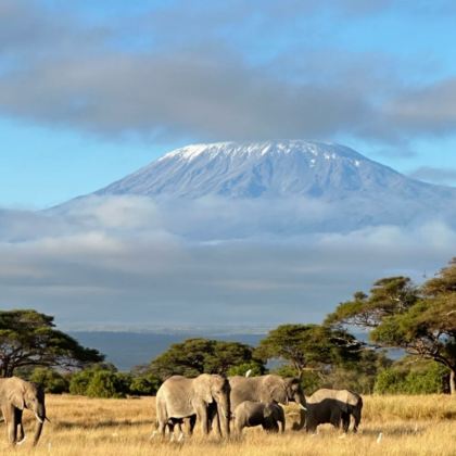 马达加斯加8日7晚私家团 马达加斯加8日7晚私家团