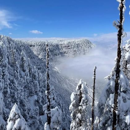 平乐古镇+西岭雪山景区+柳江古镇旅游风景区+瓦屋山风景区3日2晚私家团 平乐古镇+西岭雪山景区+柳江古镇旅游风景区+瓦屋山风景区3日2晚私家团