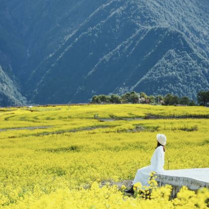 昆明+罗平+万峰林景区2日1晚拼小团 昆明+罗平+万峰林景区2日1晚拼小团
