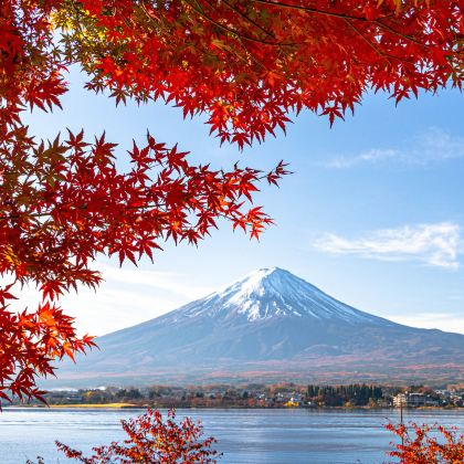 日本东京+富士山5日4晚拼小团 日本东京+富士山5日4晚拼小团