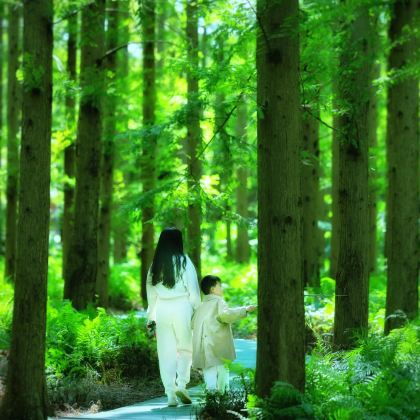 盐城中华麋鹿园+丹顶鹤湿地生态旅游区+安徒生童话乐园3日2晚私家团 盐城中华麋鹿园+丹顶鹤湿地生态旅游区+安徒生童话乐园3日2晚私家团