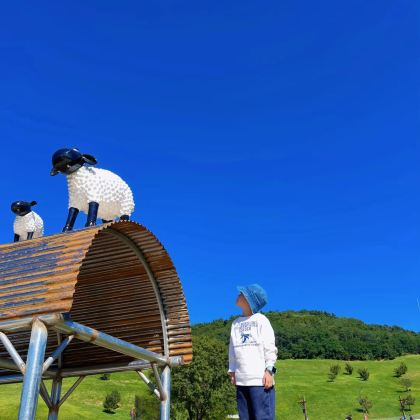 哈尔滨3日2晚私家团 哈尔滨3日2晚私家团