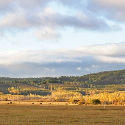内蒙古呼伦贝尔+额尔古纳+满洲里6日5晚跟团游 内蒙古呼伦贝尔+额尔古纳+满洲里6日5晚跟团游