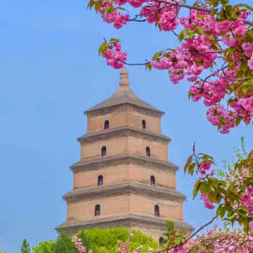 西安4日3晚私家团 西安4日3晚私家团