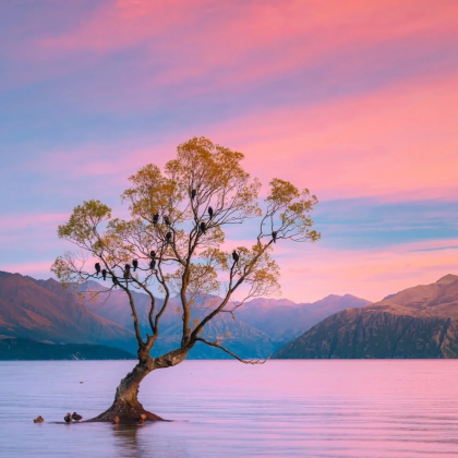 新西兰皇后镇+瓦纳卡+特卡波湖+凯库拉+基督城6日5晚私家团 新西兰皇后镇+瓦纳卡+特卡波湖+凯库拉+基督城6日5晚私家团