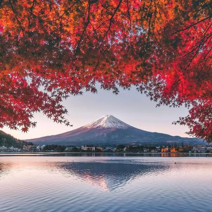 日本东京+富士山5日4晚跟团游 日本东京+富士山5日4晚跟团游