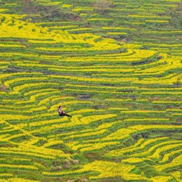 江西南昌+庐山+鄱阳湖+景德镇+三清山风景区+婺源+龙虎山风景名胜区7日6晚跟团游 江西南昌+庐山+鄱阳湖+景德镇+三清山风景区+婺源+龙虎山风景名胜区7日6晚跟团游