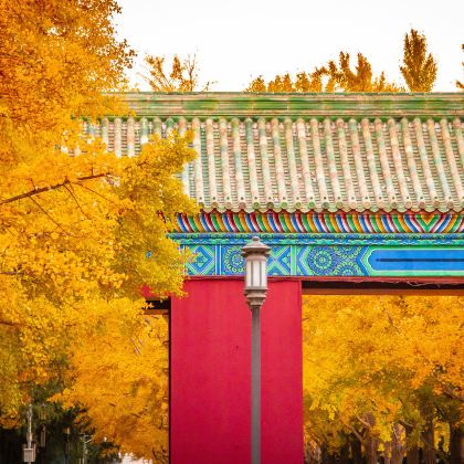 北京5日4晚自由行 北京5日4晚自由行