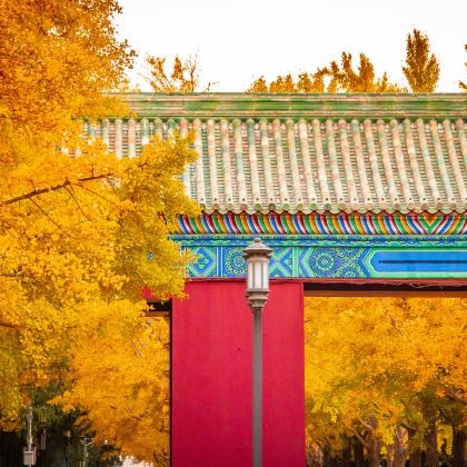 北京5日4晚自由行 北京5日4晚自由行