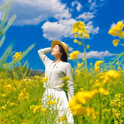 成都+九寨沟+黄龙风景名胜区+都江堰+三星堆博物馆6日5晚跟团游 成都+九寨沟+黄龙风景名胜区+都江堰+三星堆博物馆6日5晚跟团游