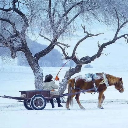 北戴河+承德+坝上+乌兰布统+木兰围场6日5晚跟团游 北戴河+承德+坝上+乌兰布统+木兰围场6日5晚跟团游