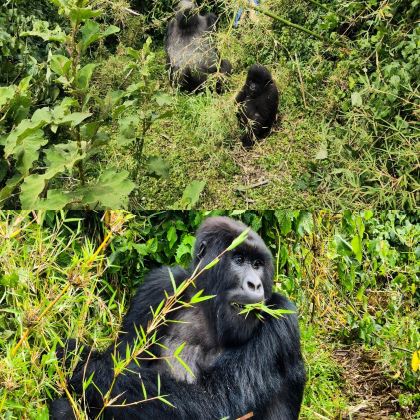 卢旺达6日5晚私家团 卢旺达6日5晚私家团