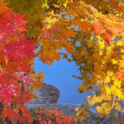 沈阳+本溪+盘锦4日3晚跟团游 沈阳+本溪+盘锦4日3晚跟团游