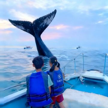 北海+涠洲岛5日4晚私家团 北海+涠洲岛5日4晚私家团