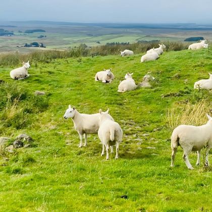 英国伦敦+牛津+剑桥+约克+科茨沃尔德+纽卡斯尔+温德米尔+利物浦+达勒姆14日13晚拼小团 英国伦敦+牛津+剑桥+约克+科茨沃尔德+纽卡斯尔+温德米尔+利物浦+达勒姆14日13晚拼小团