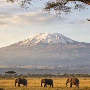 肯尼亚安博塞利国家公园+马赛马拉国家保护区10日9晚私家团 肯尼亚安博塞利国家公园+马赛马拉国家保护区10日9晚私家团