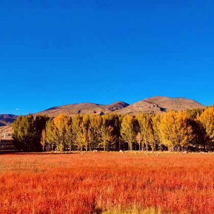 川藏公路+稻城亚丁+林芝+拉萨10日10晚跟团游 川藏公路+稻城亚丁+林芝+拉萨10日10晚跟团游