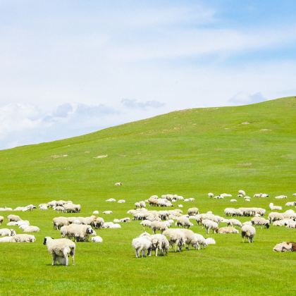 内蒙古锡林郭勒盟+锡林浩特+西乌旗+锡林郭勒盟草原+乌拉盖草原+蒙古汗城旅游景区6日5晚跟团游 内蒙古锡林郭勒盟+锡林浩特+西乌旗+锡林郭勒盟草原+乌拉盖草原+蒙古汗城旅游景区6日5晚跟团游
