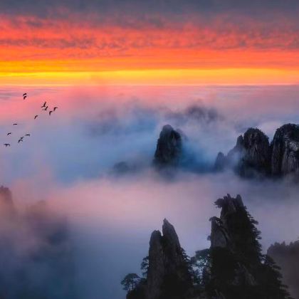 黄山风景区+宏村景区+黟县西递4日3晚自由行 黄山风景区+宏村景区+黟县西递4日3晚自由行