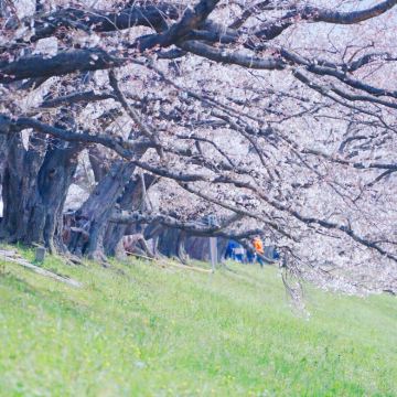 日本大阪+京都+奈良6日5晚拼小团 日本大阪+京都+奈良6日5晚拼小团