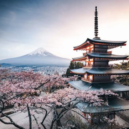 大阪+和歌山市+白滨町+高野町6日5晚拼小团 大阪+和歌山市+白滨町+高野町6日5晚拼小团