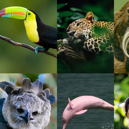 秘鲁11日9晚私家团 秘鲁11日9晚私家团