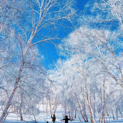 乌兰布统+赤峰+坝上+塞罕坝+承德6日5晚私家团 乌兰布统+赤峰+坝上+塞罕坝+承德6日5晚私家团