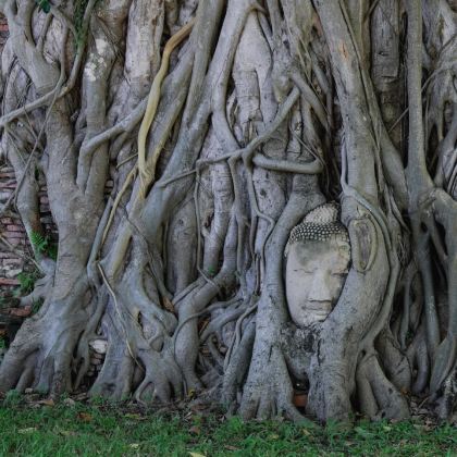 泰国曼谷+芭堤雅6日5晚拼小团 泰国曼谷+芭堤雅6日5晚拼小团