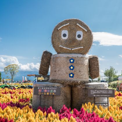 日本北海道札幌+钏路市+阿寒湖+罗臼町+富良野8日7晚拼小团 日本北海道札幌+钏路市+阿寒湖+罗臼町+富良野8日7晚拼小团