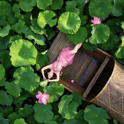 昆明+弥勒+抚仙湖+建水+普者黑景区7日6晚拼小团 昆明+弥勒+抚仙湖+建水+普者黑景区7日6晚拼小团