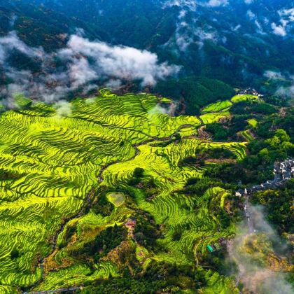 江西南昌+庐山风景名胜区+婺源+井冈山7日6晚跟团游 江西南昌+庐山风景名胜区+婺源+井冈山7日6晚跟团游