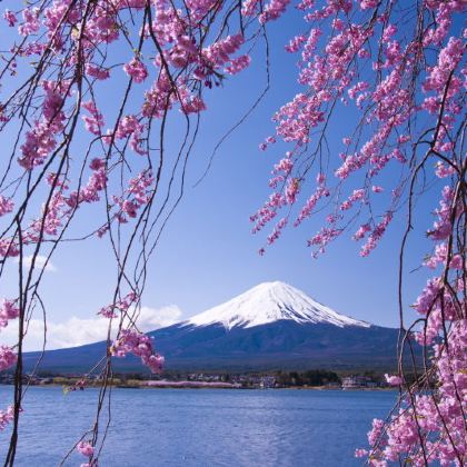 日本大阪+京都+东京+富士山+奈良7日6晚跟团游 日本大阪+京都+东京+富士山+奈良7日6晚跟团游