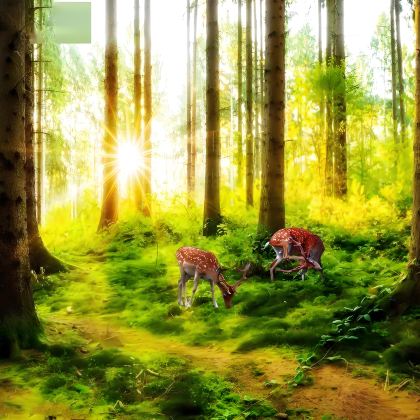 盐城+荷兰花海+森灵欢乐世界+大纵湖+东晋水城3日2晚私家团 盐城+荷兰花海+森灵欢乐世界+大纵湖+东晋水城3日2晚私家团